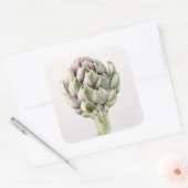 Artichoke Study 1993 Vierkante Sticker (Envelop)