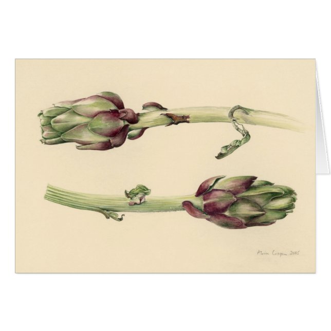 Artichokes 2005 (Voorkant Horizontaal)