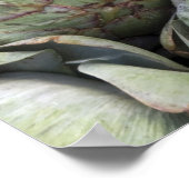 Artichokes Poster (Hoek)