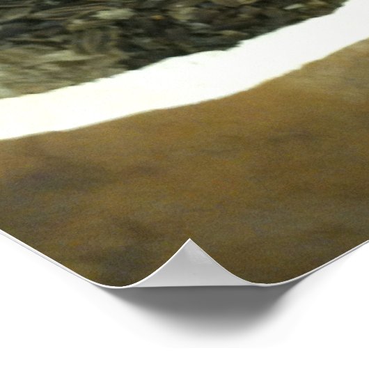 Article Poster Gourd- Atelier— Graines (Coin)