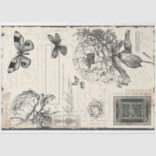 Artiest Grote Pioen Vlinder Zwart Wit Tissuepapier