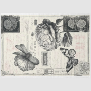 Artiest Zwart Wit Grote  Pioen Achtergrond Tissuepapier