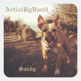 ArtiestRyVavlt Sandy Sticker