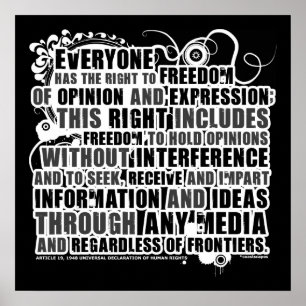 Artikel 19 Citaat (B&W) Poster