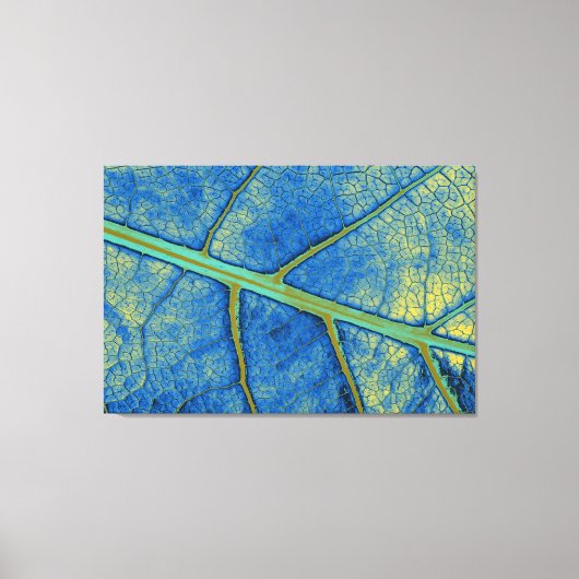 Artikel Leaf 5 Canvas Afdruk (Voorkant)