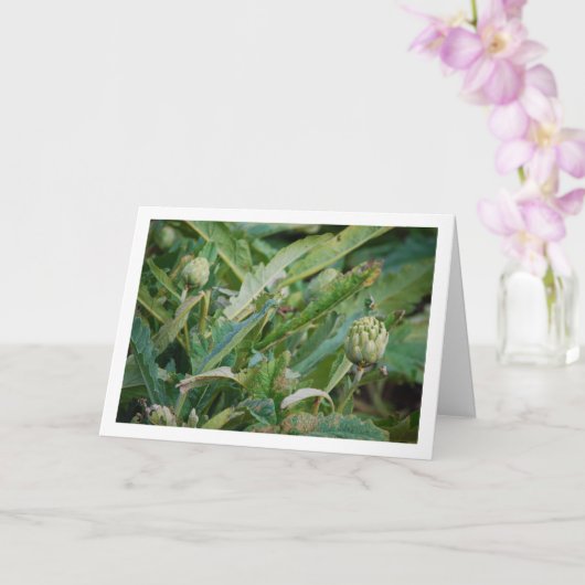 Artisjokdistelplanten Kaart (Orchidee)