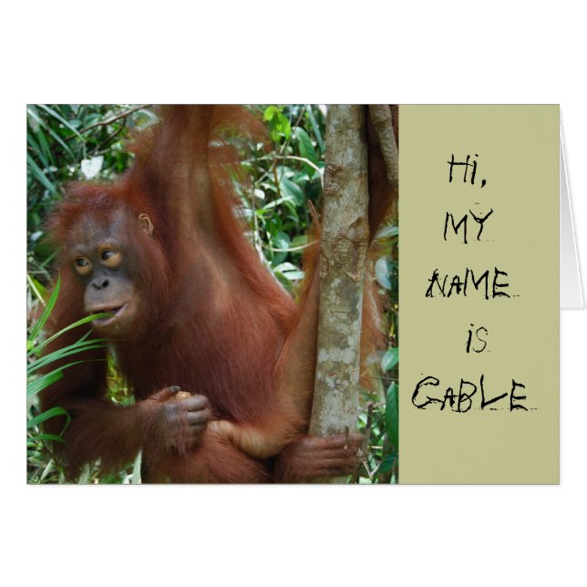 Artistes animaux (Devant Horizontal)