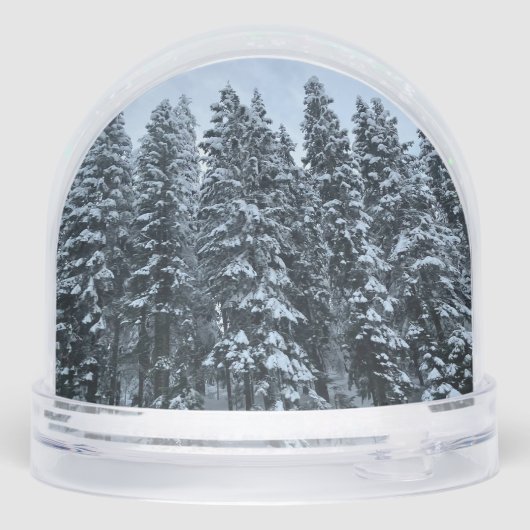 Artistic Christmas Tree Scene Snow Globe (Arrière)