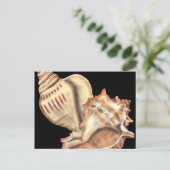 Artistieke Conch Shells Briefkaart (Staand voorkant)
