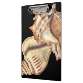 Artistieke Conch Shells Klembord (Links)