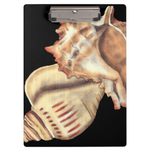 Artistieke Conch Shells Klembord