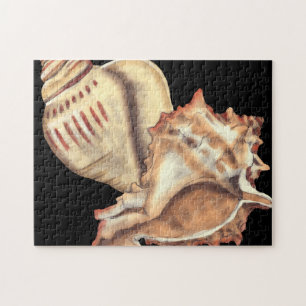 Artistieke Conch Shells Legpuzzel