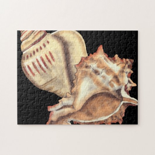 Artistieke Conch Shells Legpuzzel (Horizontaal)