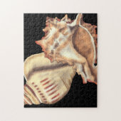 Artistieke Conch Shells Legpuzzel (Verticaal)