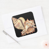 Artistieke Conch Shells Vierkante Sticker (Envelop)