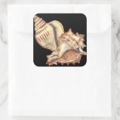 Artistieke Conch Shells Vierkante Sticker (Tas)