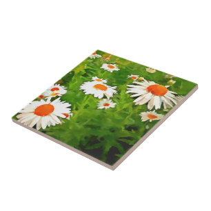 Artistieke, heldere, kleurrijke Witte Garden Daisi Tegeltje