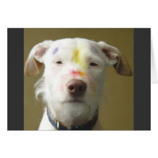 Artistieke hond