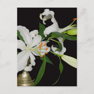 Artistieke Lily Collectie-1 Briefkaart