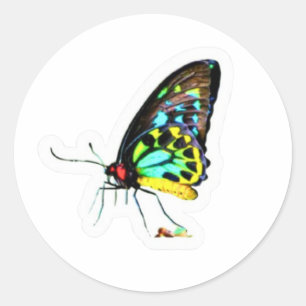 Artistieke Neon Profiel Vlinder Sticker - Uniek S