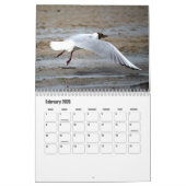 Artistieke Seagull Adventure-agenda Kalender (Feb 2026)