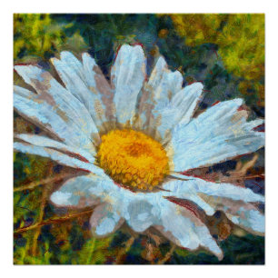 Artistieke Sluiting van een Marguerite Daisy Flowe Perfect Poster