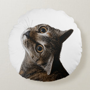 Artistieke Tabbykat Portret Foto Rond Kussen