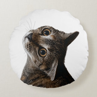 Artistieke Tabbykat Portret Foto Rond Kussen