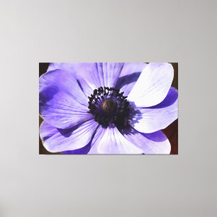 Artistisch Lila blauw Anemone Wilde Bloem Canvas Afdruk