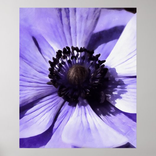Artistisch Lila blauw Anemone Wilde Bloem Poster (Voorkant)