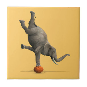Artistisch olifant tegeltje