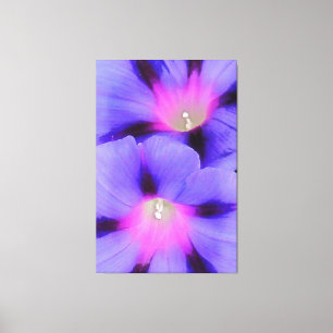 Artistisch Paars en roze gekleurde ochtendglorie Canvas Afdruk
