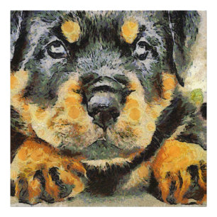 Artistisch rottweiler-papaverportret foto afdruk