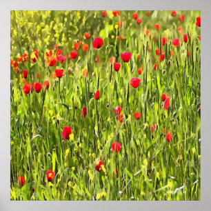 Artistisch weide Poppy Landschap Poster