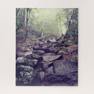 Artist's Bluff Rocky Wandelpad in New Hampshire Legpuzzel