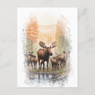 *~* Artsy AP49 MOOSE HERD Forest STREAM Briefkaart