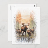 *~* Artsy AP49 MOOSE HERD Forest STREAM Briefkaart (Voorkant / Achterkant)