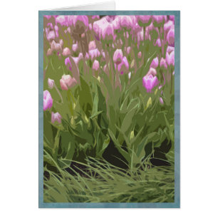 Artsy roze tulpen