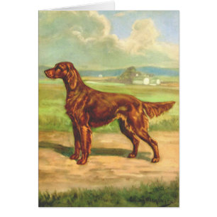  Artwork - Irish Setter Dog ,