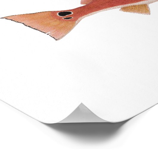 Artwork voor witte tonijn en roodbaars poster (Hoek)