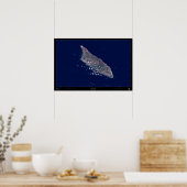 Aruba, Affiche satellite des Caraïbes (Cuisine)