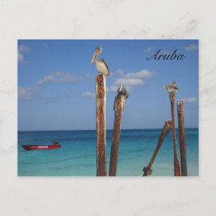 Aruba, blauwe hemden in het Briefkaart van het Par