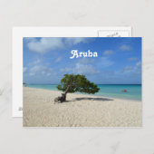Aruba Divi Divi Tree Briefkaart (Voorkant / Achterkant)