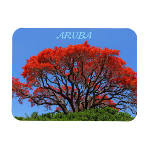 Aruba één gelukkig eiland magneet