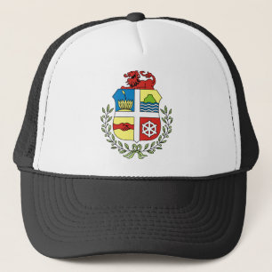 aruba embleem trucker pet