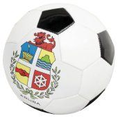 aruba embleem voetbal (Drie kwart)
