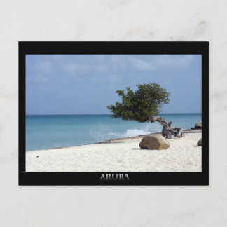 ARUBA fofoti-boom Briefkaart
