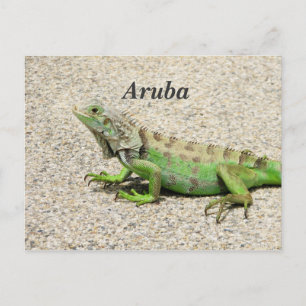 Aruba Green Iguana Briefkaart