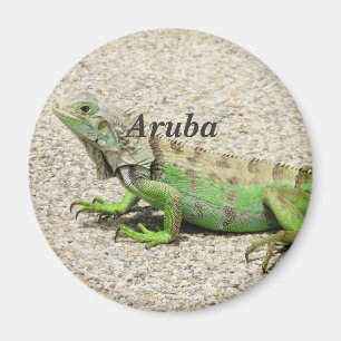 Aruba Green Iguana Magneet