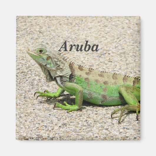 Aruba Groene Iguana Magneet (Voorkant)